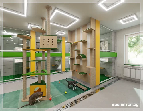 Интерьер гостиницы для животных, Минск